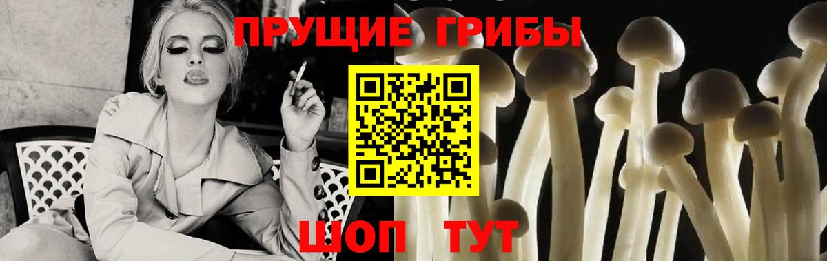 Сухой Лог  Галлюциногенные грибы Psilocybe  Вход с VPN 